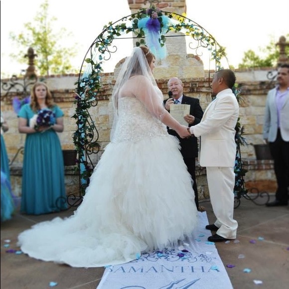 David’s bridal plus size wedding dress - Picture 5 of 6